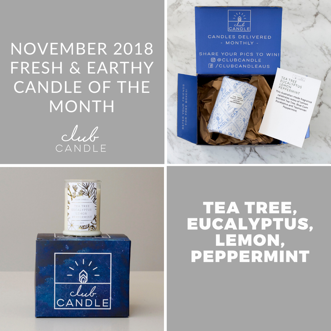 Candle of the Month – Tea Tree, Eucalyptus, Lemon, Peppermint